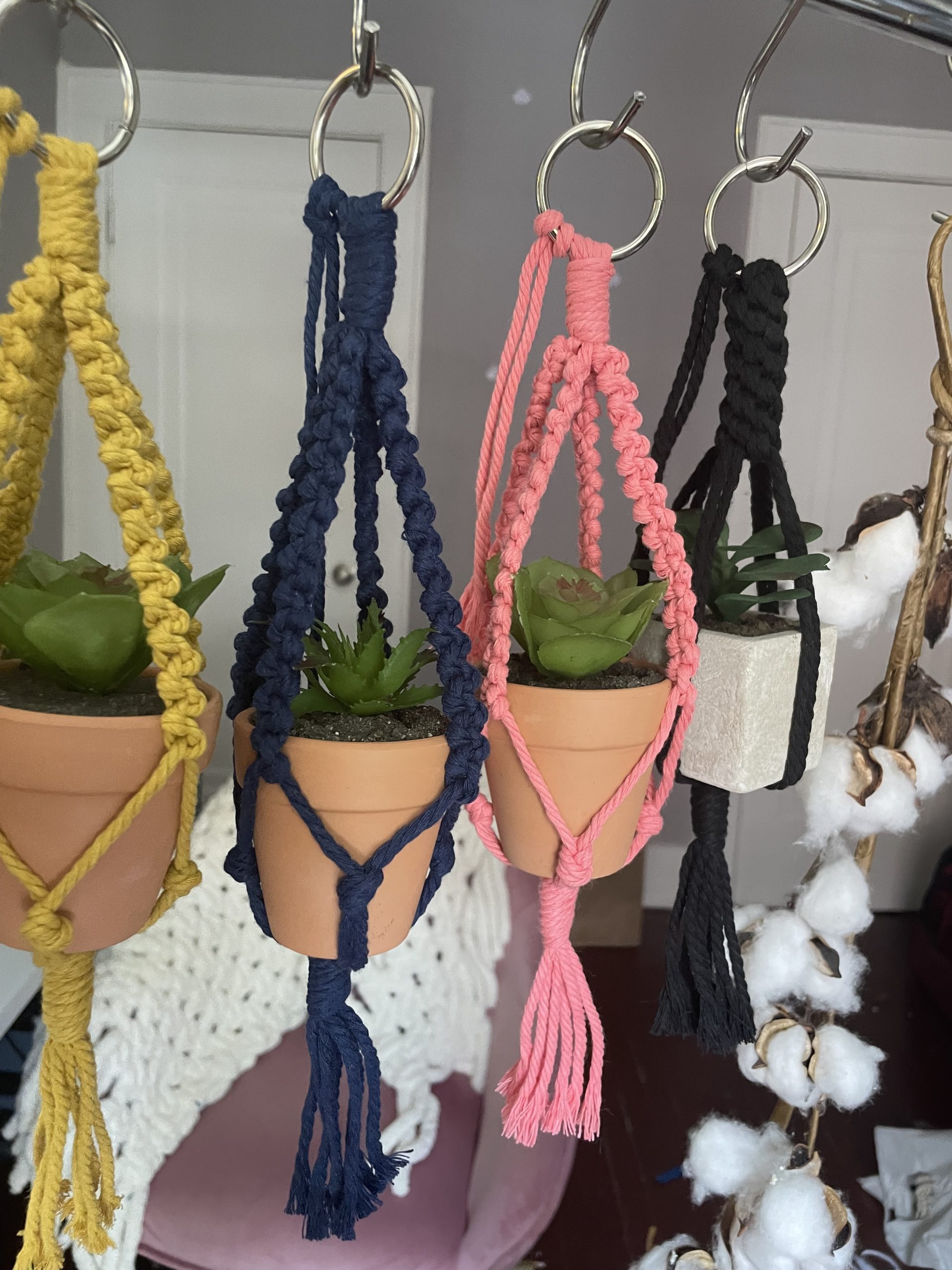 The Succulent Macrame Kit – MUSEjar