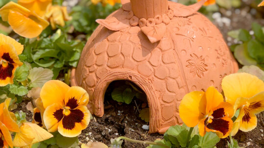 toad house